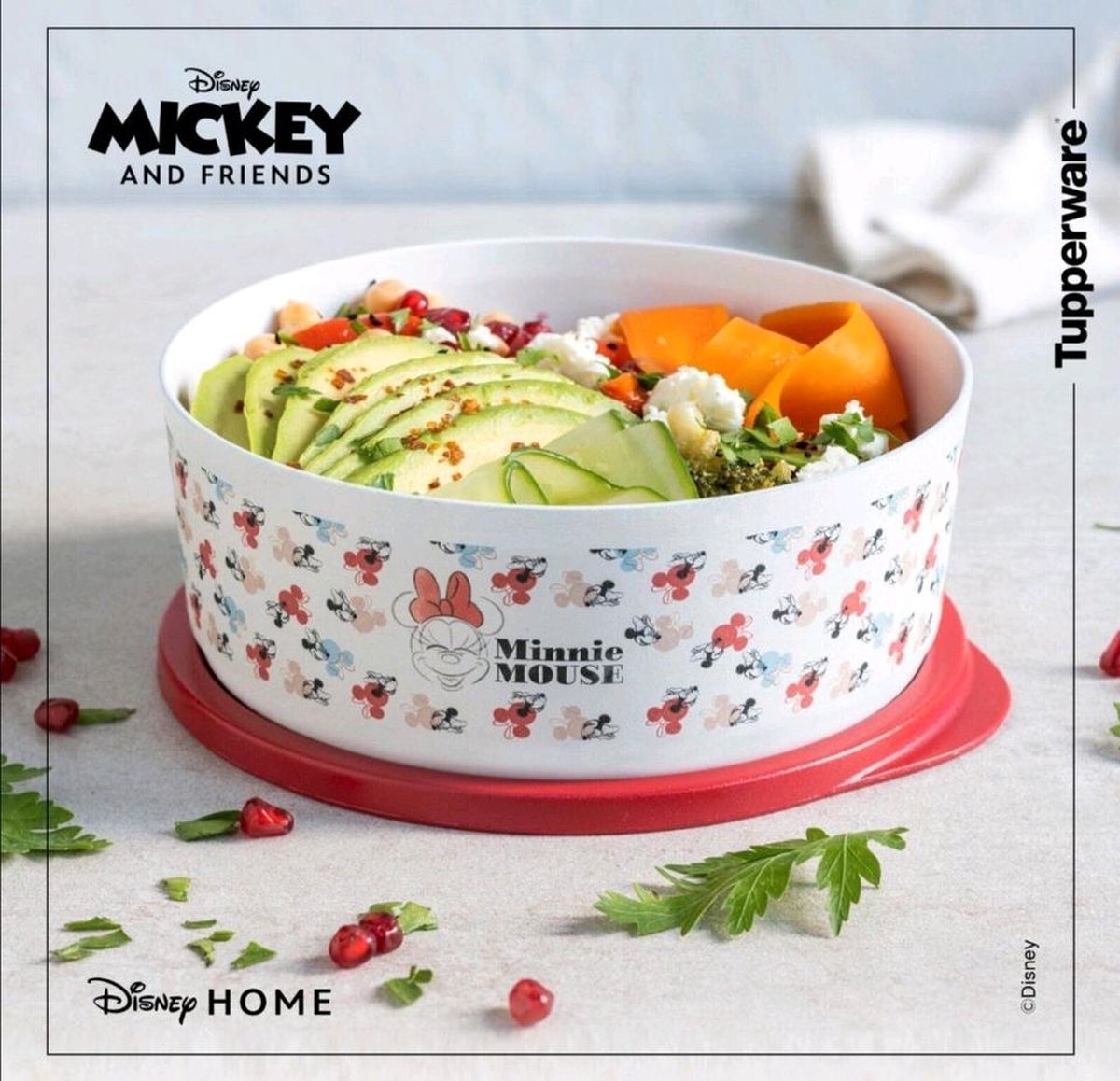 Disney Cubix 950ml Mickey and Friends Minni Mouse Tupperware