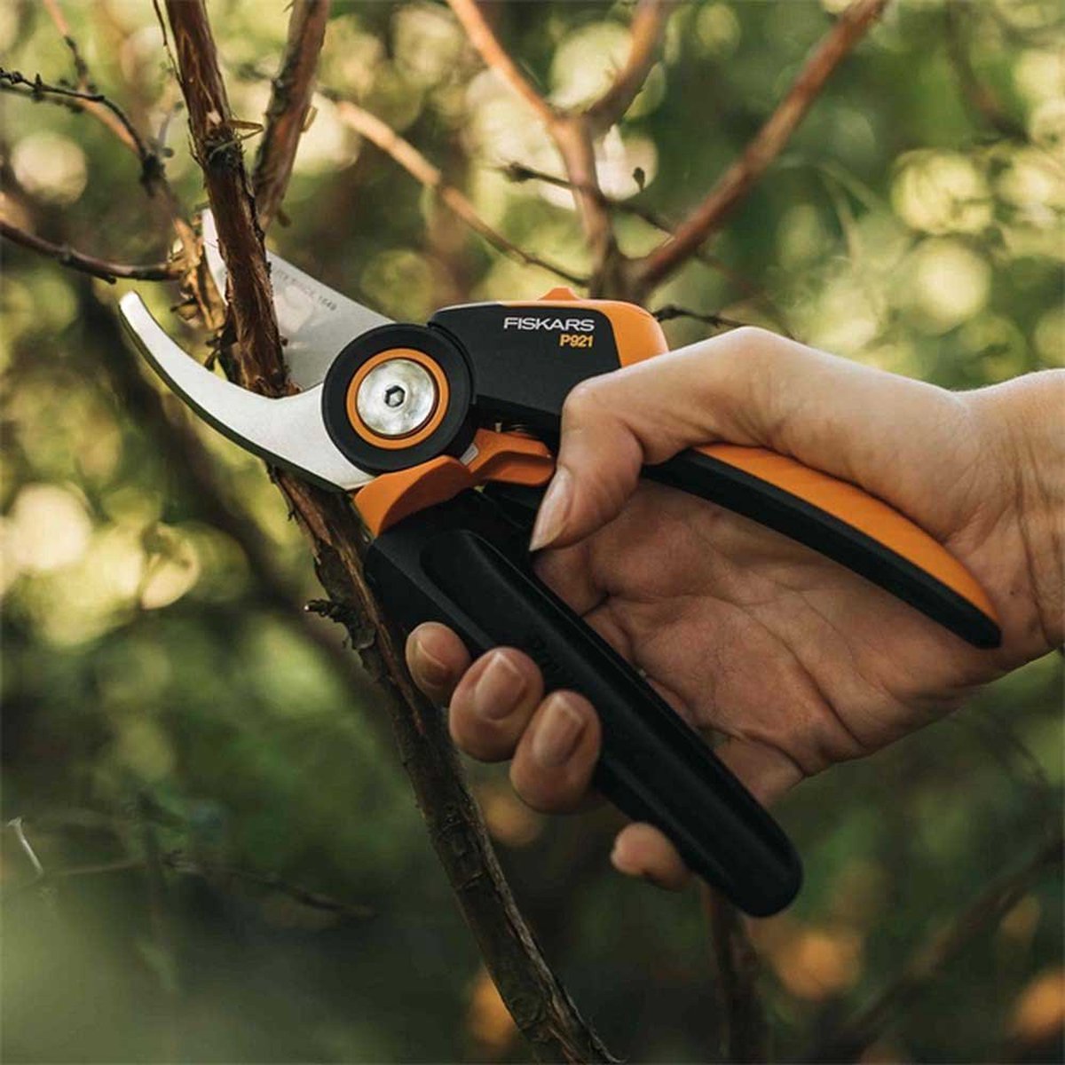 Fiskars Sécateur - Coupe-branches bypass X-series - Taille M