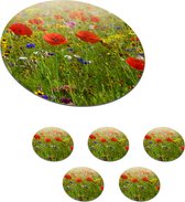 Onderzetters voor glazen - Rond - Lente - Bloemen - Rood - Klaproos - Gras - Groen - 10x10 cm - Glasonderzetters - 6 stuks