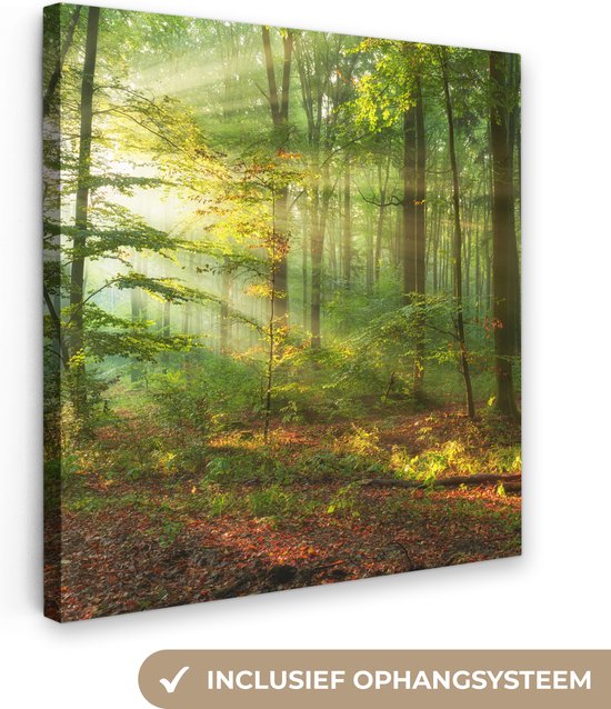 Canvas - Canvas natuur - Zon - Bladeren - Boom - Muurdecoratie - Kamer decoratie - 50x50 cm