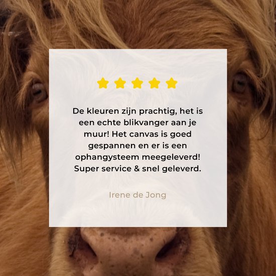 Tableau sur toile Highlander écossais - Animaux - Berg - 120x180 cm - Décoration murale XXL