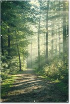 Muurdecoratie Bos - Pad - Zon - Bomen - Groen - Natuur - 120x180 cm - Tuinposter - Tuindoek - Buitenposter