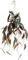 Begonia Maculata Kunst Hangplant 95cm | Hangende Kunstplant | Kunstplant voor Binnen | Neppe Hangplant Begonia Maculata