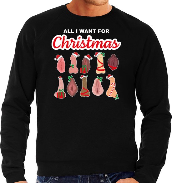 Foto: Bellatio decorations foute kersttrui sweater heren all i want for christmas piemel vagina zwart l