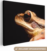 Canvas Schilderij Kikker - Oog - Zwart - 80x60 cm - Wanddecoratie