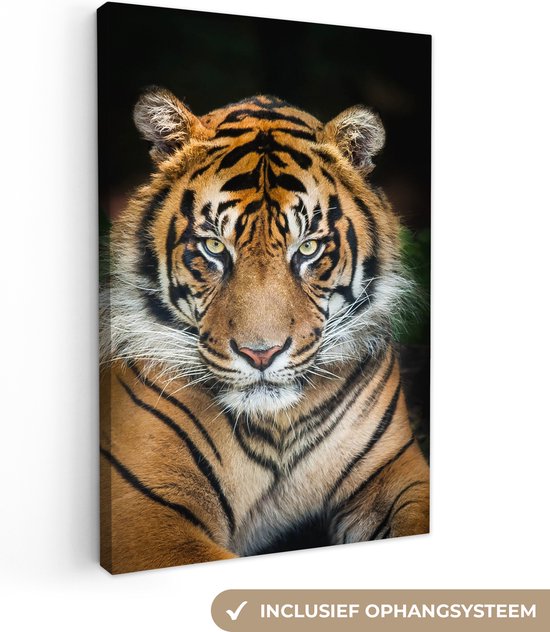 Schilderij tijger - Roofdier - Tijger - Close-up - Tijger canvas - Foto op canvas - Canvas print - Wanddecoratie - 20x30 cm
