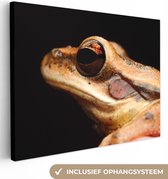 Canvas Schilderij Kikker - Oog - Zwart - 80x60 cm - Wanddecoratie