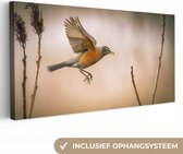 Canvas Schilderij Roodborstje - Vleugels - Natuur - 40x20 cm - Wanddecoratie