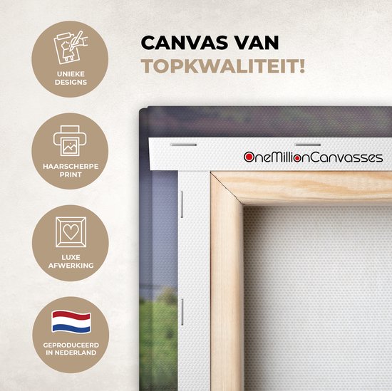 Peinture sur toile Highlander écossais - Herbe - Water - Animaux - 50x50 cm - Décoration murale