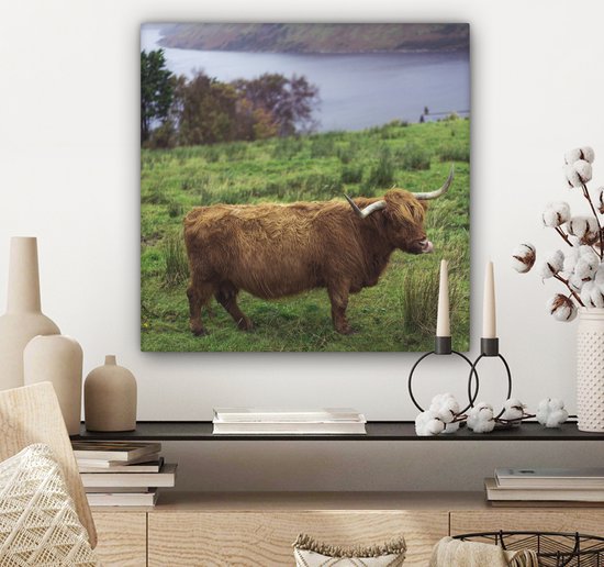 Peinture sur toile Highlander écossais - Herbe - Water - Animaux - 50x50 cm - Décoration murale