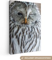 Canvas Schilderij Uil - Veren - Portret - 20x30 cm - Wanddecoratie