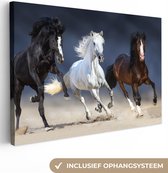 Canvas Schilderij Paarden - Dieren - Zand - 60x40 cm - Wanddecoratie