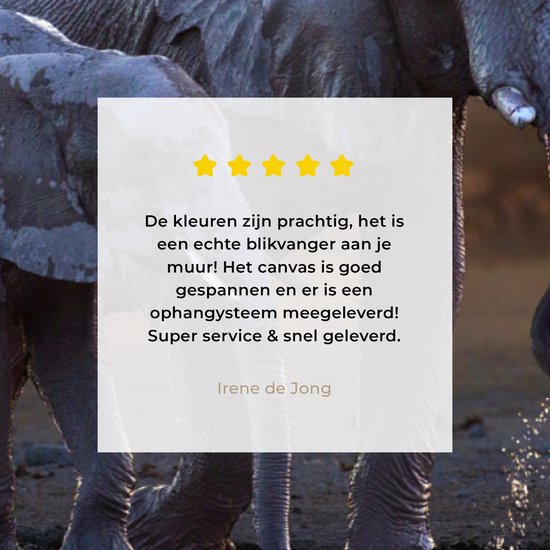 Tableau sur toile Deux éléphants au coucher du soleil - 160x80 cm - Décoration murale Art