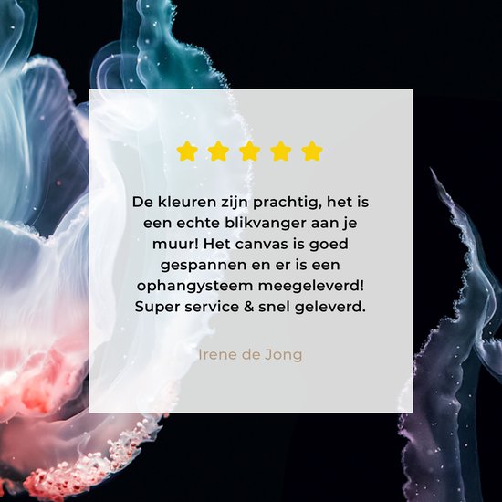 Tableau sur toile Méduse - Animaux aquatiques - Zwart - 20x20 cm - Décoration murale