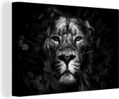 Canvas Schilderij Leeuw - Bladeren - Jungle - Dieren - Zwart wit - Hout lijst - 60x40 cm - Wanddecoratie