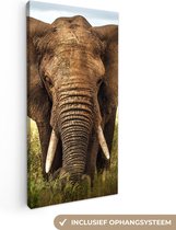 Canvas Schilderij Afrikaanse olifant vooraanzicht - 20x40 cm - Wanddecoratie