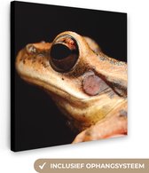 Canvas Schilderij Kikker - Oog - Zwart - 90x90 cm - Wanddecoratie