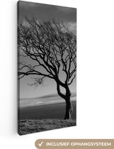 Canvas Schilderij Winterfoto beukenboom zwart-wit - 20x40 cm - Wanddecoratie