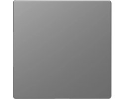 Schneider Electric D-life - Blindplaat - Inbouw - RVS