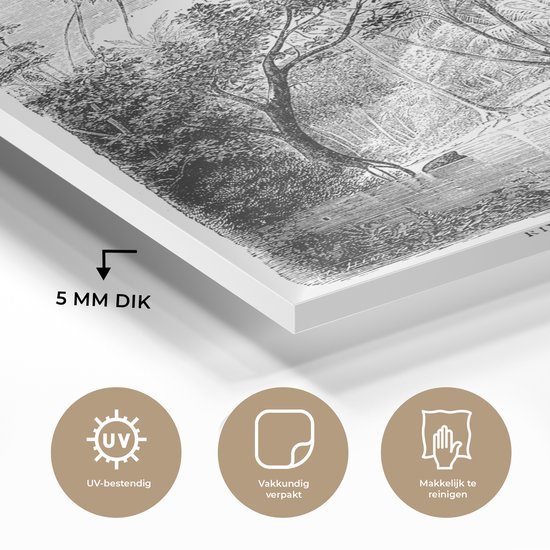 MuchoWow® Peinture sur Verre - Une Illustration d'une Rangée de Palmiers au Sri Lanka - 120x160 cm - Peintures sur Verre Acrylique - Photo sur Glas