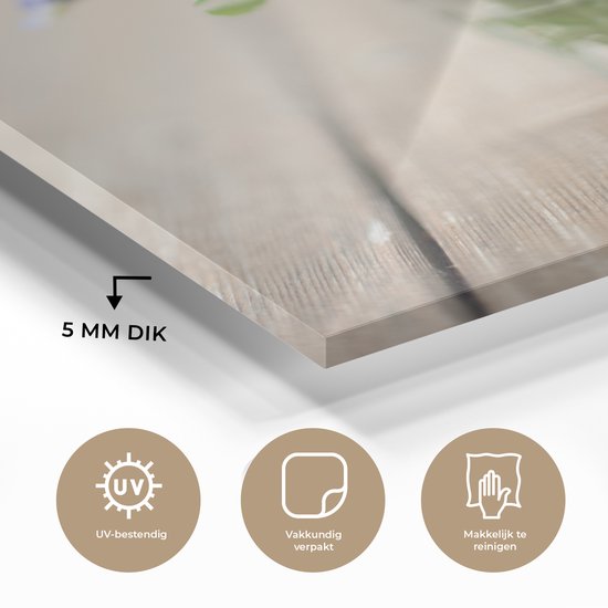 MuchoWow® Peinture sur verre 90x90 cm - Peinture sur verre - Violons dans un vase - Photo sur verre acrylique - Peintures