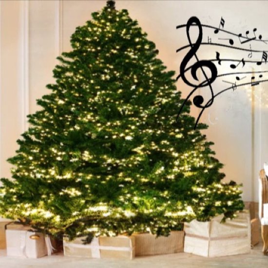 Foto: Pn kerst 312 led lichtnet 300 x 280 cm muziek afstandbediening 8 lichteffecten dimmer warm wit