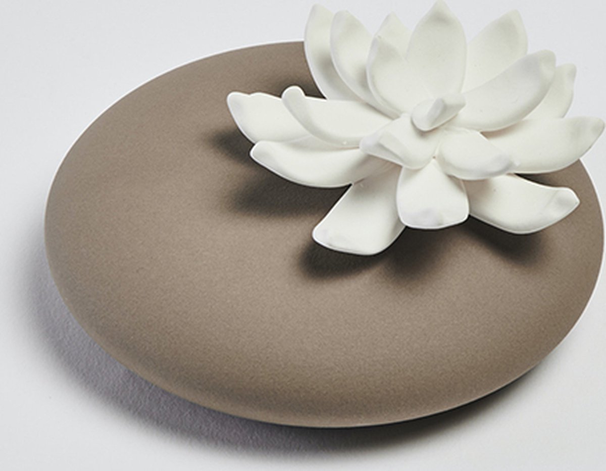 Goedkoopste Anoq Lili Coffee color diffuser, de geurverspreider met stijl voor een huishouden met smaak