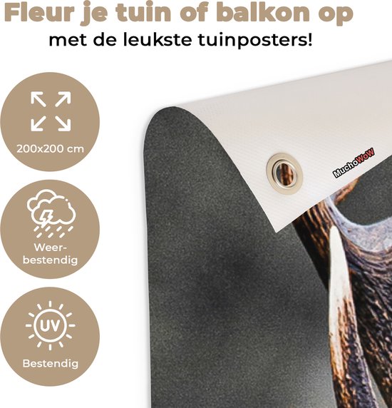 Affiche de Jardin Cerf - Nature - Automne - Animaux de la forêt - 200x200 cm - Toile de jardin - Affiche d'extérieur