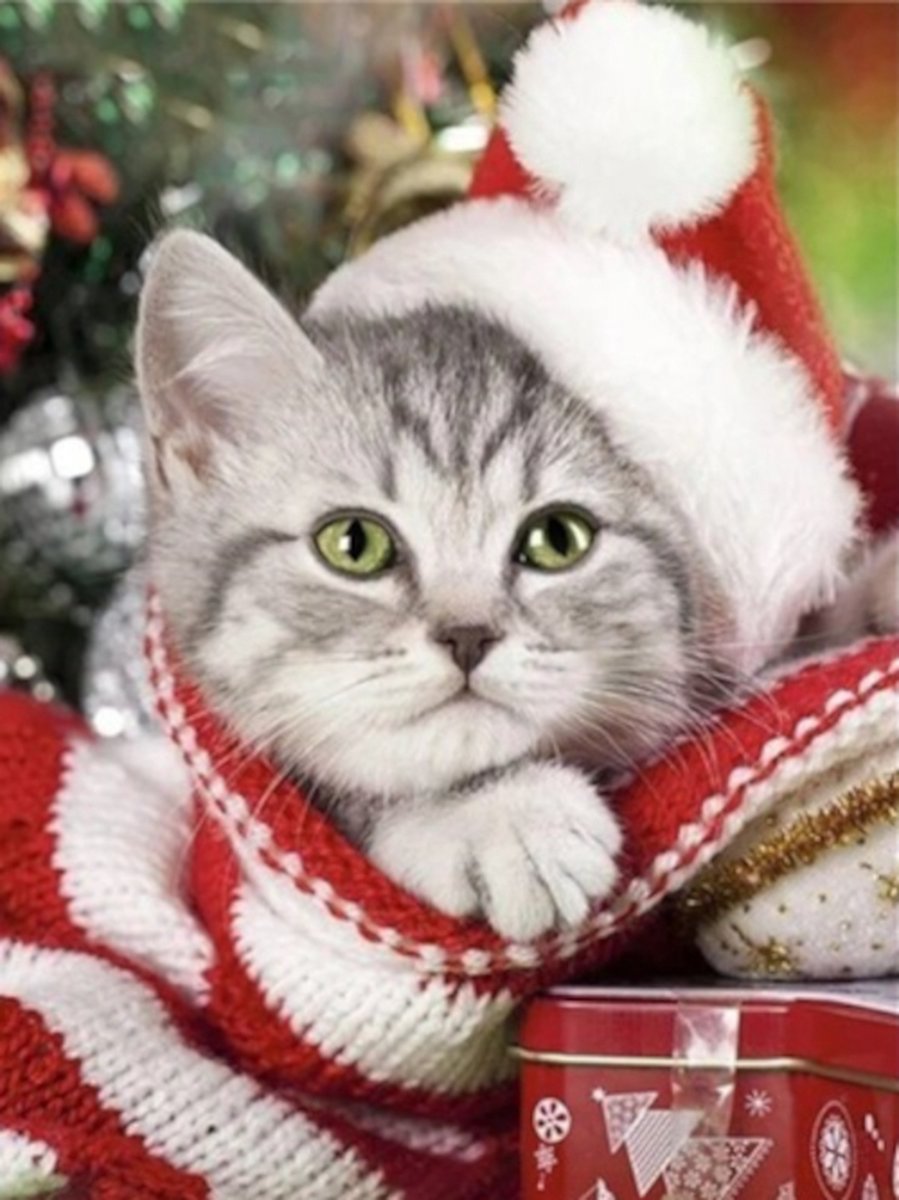 Diamond painting kerst kat cadeau 30x40cm vierkante steentjes
