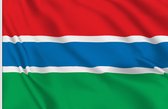 VlagDirect - Gambiaanse vlag - Gambia vlag - 90 x 150 cm