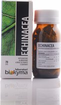 Biokyma - Echinacea - 70 capsules gedroogd extract - Zonnehoed voor de ondersteuning van afweersysteem - Vegan - Rode zonnehoed immuunsysteem en welzijn van de luchtwegen