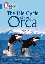 Collins Big Cat - The Life Cycle of the Orca