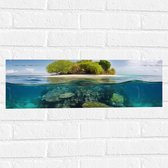 Muursticker - Koraal - Oceaan - Zee - Eiland - 60x20 cm Foto op Muursticker