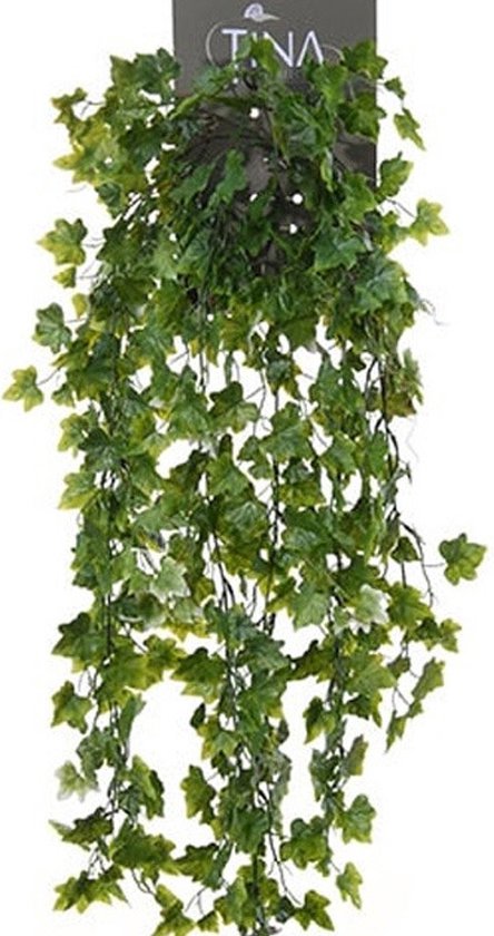 Louis Maes plante artificielle à feuilles suspendues Lierre/hedera - vert/blanc - 80 cm - Plantes grimpantes