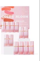 Sheglam colour bloom - blush giftset - matte & shimmer - 12 pack