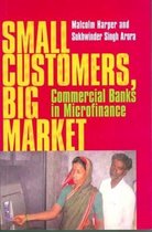 Small Customers Big Market