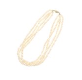 Behave Women - collier court de perles - perles d'eau douce 42 cm
