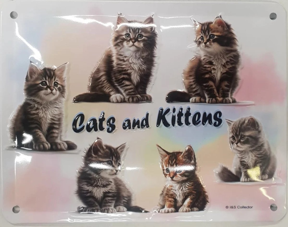 Cats and Kittens. Metalen wandbord in reliëf 15 x 20 cm.