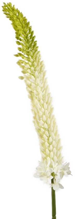 Viv! Home Luxuries Eremerus - zijden bloem - wit groen - 84cm
