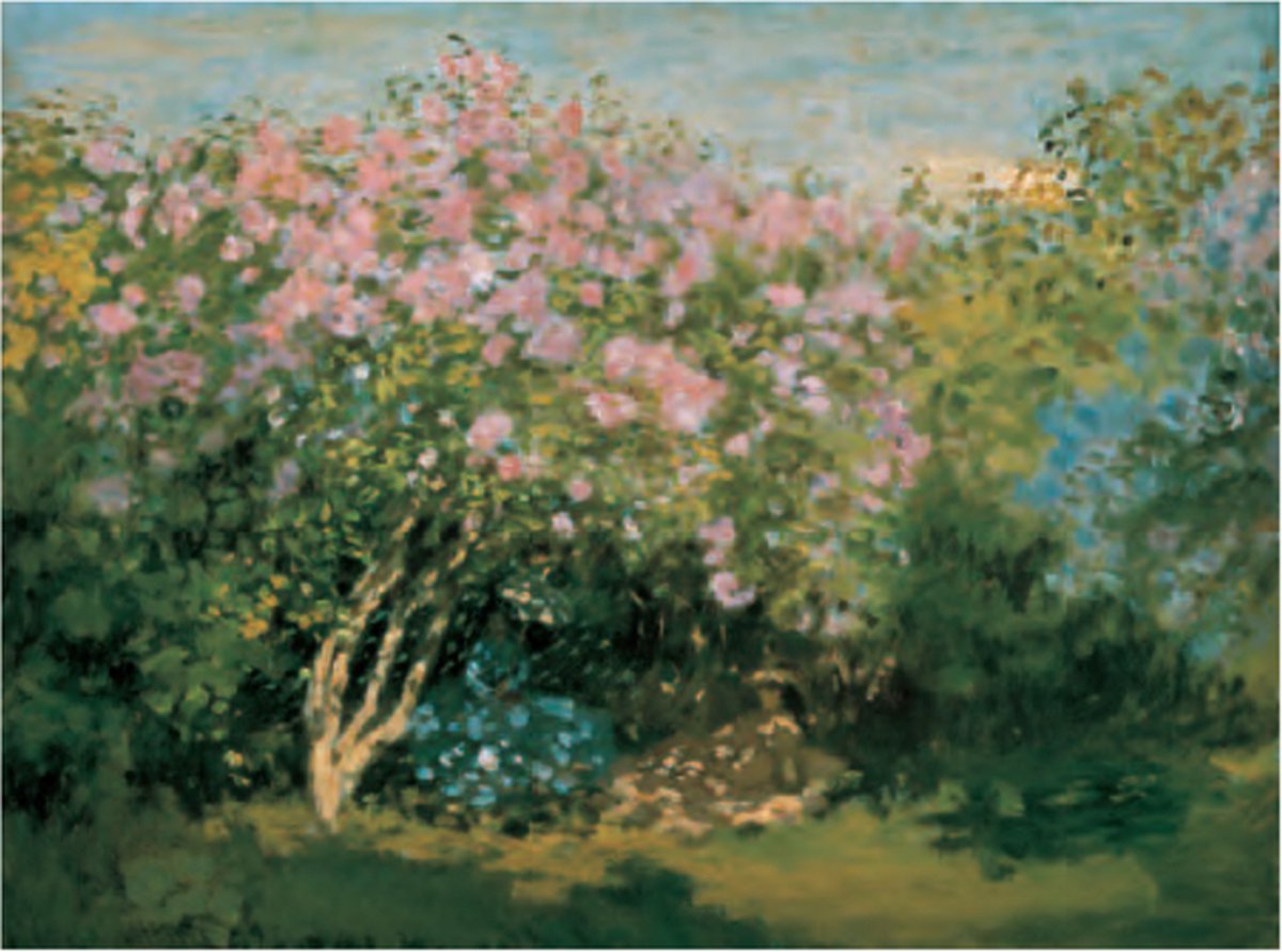 Catch Projecten Claude Monet - Bloeiende seringen in de zon - Kunstposter - 60x80 cm Multicolor