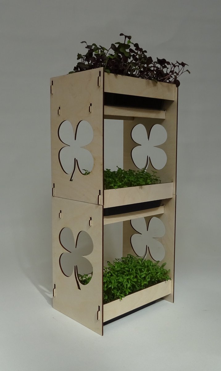 kweekset voor microgreens met rucola, mosterd en tuikers zaadjes