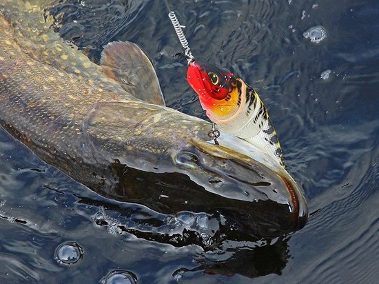 Rozemeijer - Fatal Attraction Hardbait Kunstaas - 18 cm - Speckled Hot Pike van Rozemeijer — afbeelding 2
