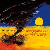 Joe Taylor - Sugardust In The Devil Wind (CD)