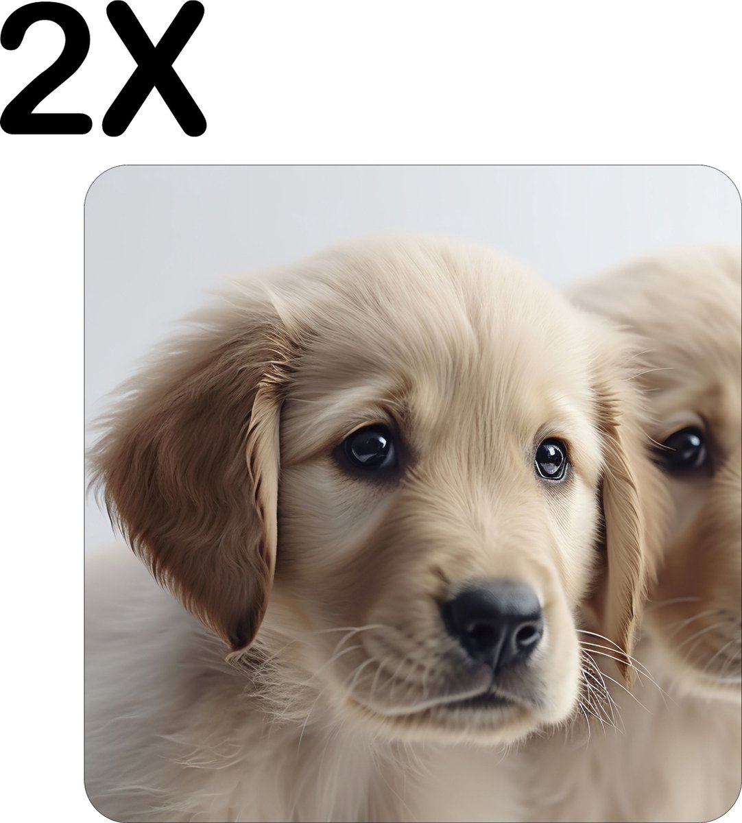 BWK Luxe Placemat - Twee Golden Retriever Puppies - Set van 2 Placemats - 40x40 cm - 2 mm dik Vinyl - Anti Slip - Afneembaar