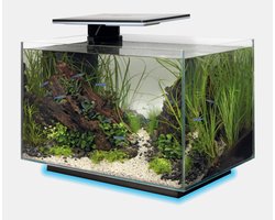 Superfish Quadro 40 Multi Colour - Aquaria - Zwart Led Voet