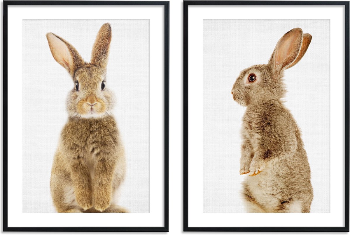 Kinderkamer posters - Dieren – 2 stuks - 30x40 cm – Konijnen