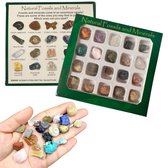 Fossielen & Edelstenen verzameling - Mix van 20 - Geschenk Doosje - 13x13CM