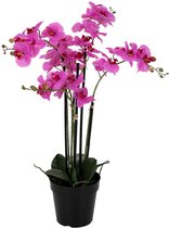 Viv! Home Luxuries Orchidee in pot - zijden bloem - paars - 65cm