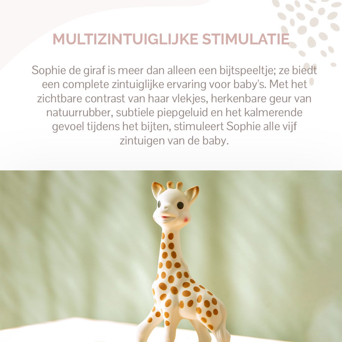 Sophie de giraf - Bijtspeeltje - Bijtspeelgoed - Baby speelgoed - Kraamcadeau - Babyshower cadeau - In wit/rood geschenkdoosje - 100% natuurlijk rubber - Vanaf 0 maanden - 17 cm - Beige/Bruin — afbeelding 4