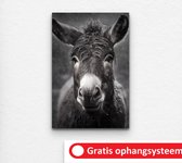 acryl schilderij zwart wit - Dierenhoofd - Dieren acryl schilderij - Dierenhoofd kinderkamer - zwart wit acryl schilderij - Zwart wit dier - 60 x 90 cm 10mm